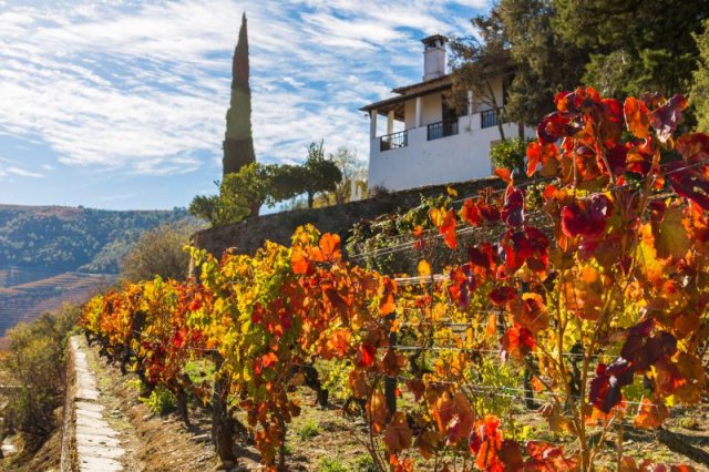 Weinreise zu den DouroBoys, Portugal