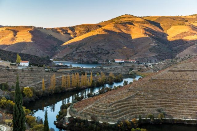 Weinreise zu den DouroBoys, Portugal