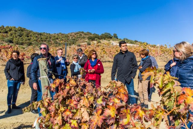 Weinreise zu den DouroBoys, Portugal